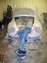 paintunderbonnet gallery.JPG